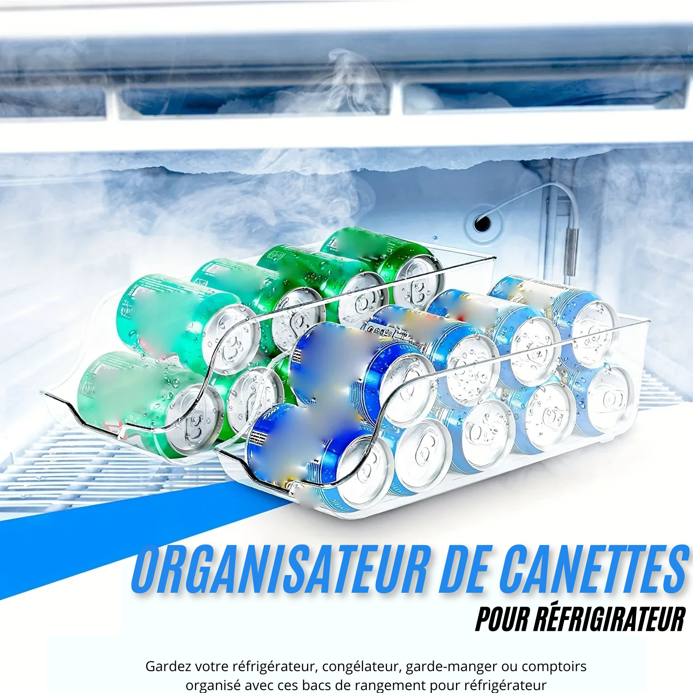 Organisateur de réfrigérateur