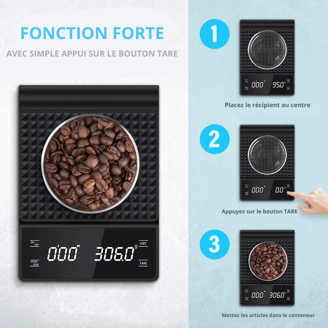 Balance de Précision Portable